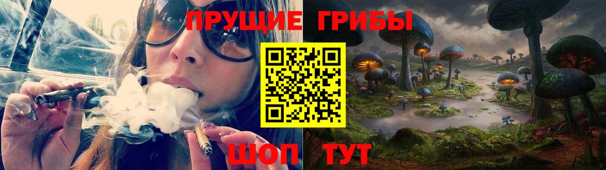 Галлюциногенные грибы прущие грибы  Вход с VPN  Сарапул  Псилоцибиновые грибы GOLDEN TEACHER 